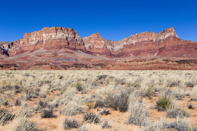 Northern arizona's vermillion cliffs seen from the scenic drive near kaibab during a sunny morning