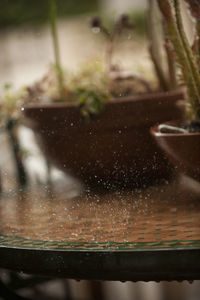 Close-up of wet glass window