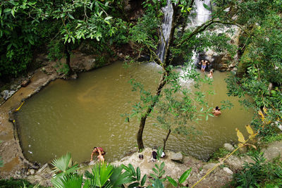 High angle view of ducks swimming in lake