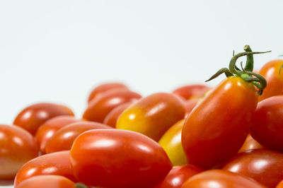 Close-up of tomatoes against white background