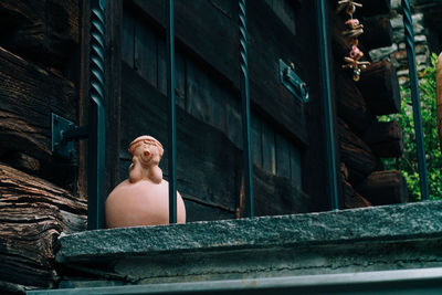 Portrait of woman looking through window in building