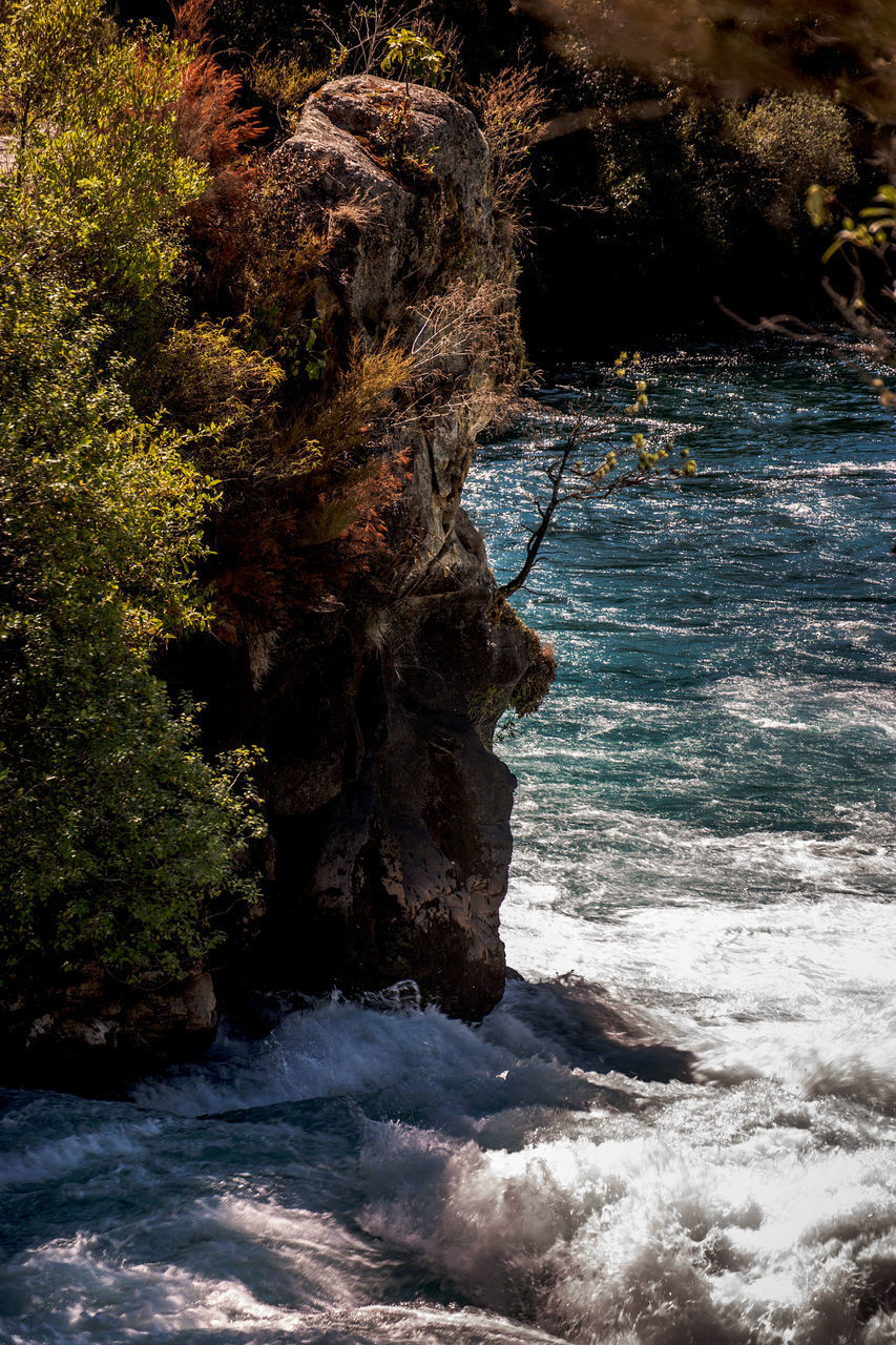 SCENIC VIEW OF SEA AGAINST TREES