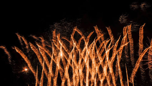 Low angle view of firework display