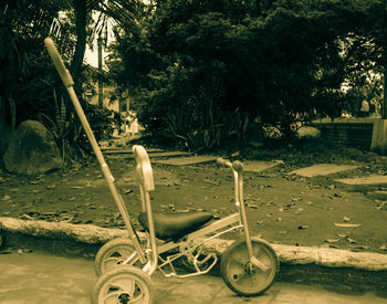 Table and trees on sand