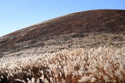 Low angle view of rock formations against clear blue sky