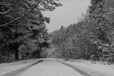 Road amidst trees against clear sky during winter