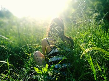 Close-up of young woman against plants on field