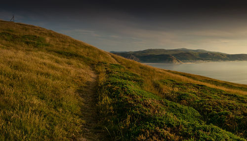 Scenic view of landscape against sky