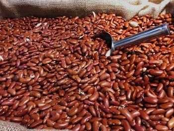 High angle view of coffee beans