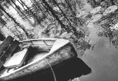 Reflection of trees in water