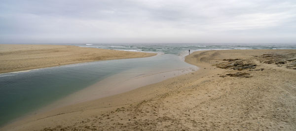 Scenic view of beach against sky