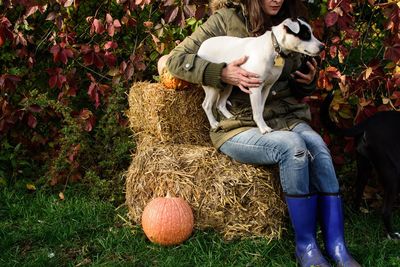 Midsection of woman sitting with dog on hay against plants