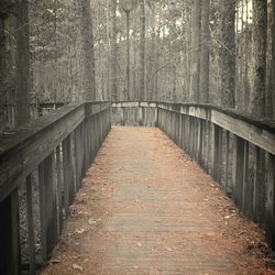 Footbridge over trees