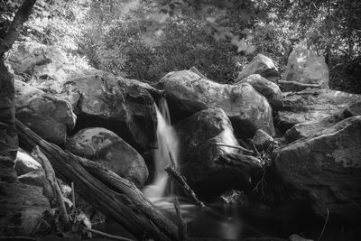 Close-up of waterfall in forest