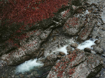 High angle view of rock formation in sea