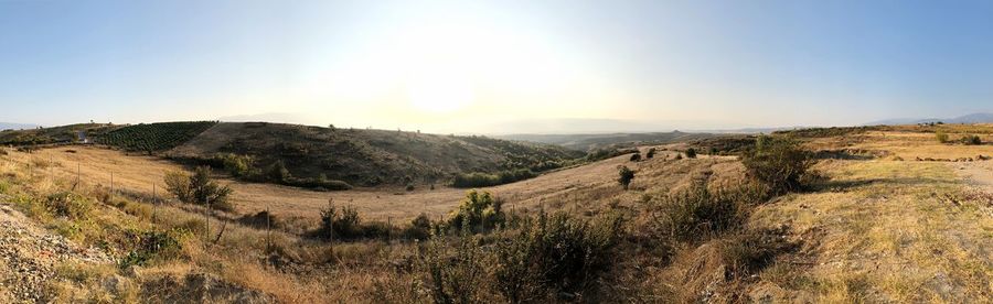 Scenic view of landscape against sky