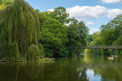 Scenic view of lake by trees against sky