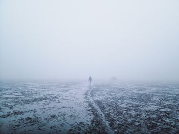 Scenic view of person in fog