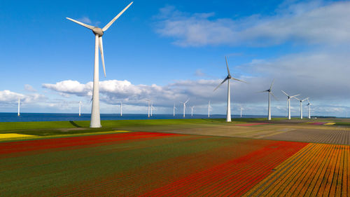 Windmills on field against sky