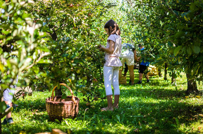 Full length of woman standing in basket of tree