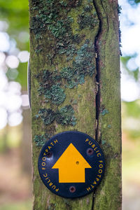 Close-up of sign on tree trunk