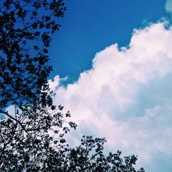 Low angle view of trees against cloudy sky
