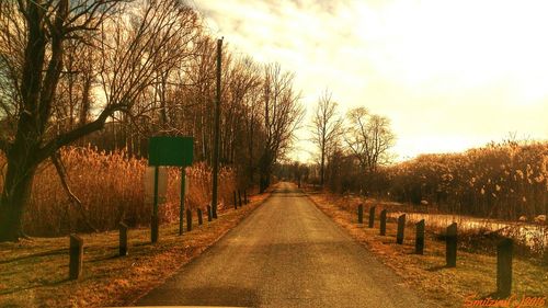 Road amidst trees against sky