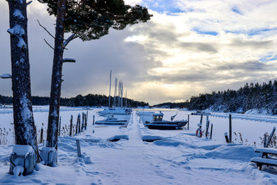 Snow covered plants and trees against sky during winter