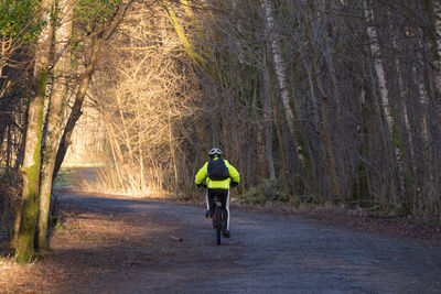 Rear view of man riding bicycle in forest