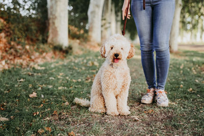 Low section of man with dog