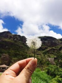 Close-up of hand holding dandelion against sky