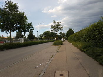 Road passing through trees