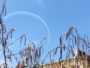 Low angle view of vapor trail against blue sky
