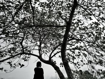 Rear view of woman standing by tree against sky