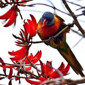 Low angle view of red object
