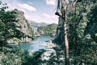 Scenic view of river amidst trees against sky