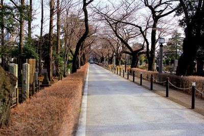 Footpath amidst bare trees in park