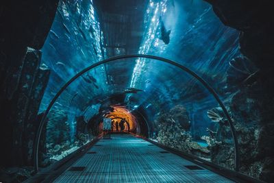 Illuminated tunnel