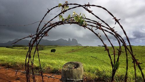 Scenic view of grassy field against cloudy sky