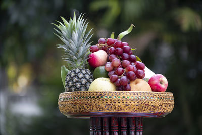 Close-up of grapes on tree