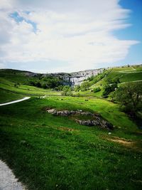 Scenic view of grassy field against sky