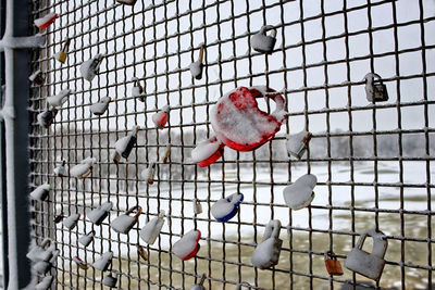 View of birds in cage