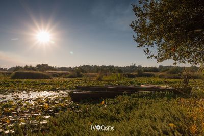 Scenic view of field against sky during sunset