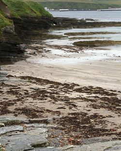 Scenic view of beach