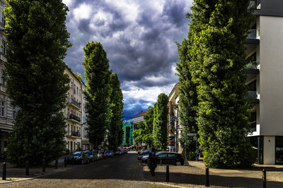 Street amidst trees and buildings against sky