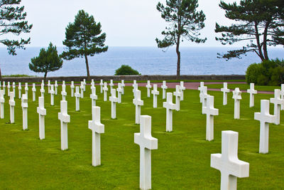 Row of cemetery