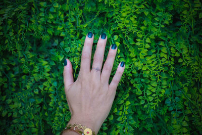 Cropped hand of person against plants