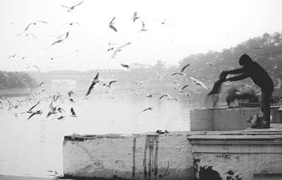 Birds in water against sky