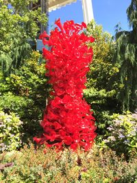 Close-up of red flower and trees