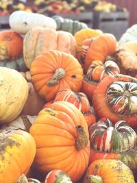 Pumpkins for sale at market stall